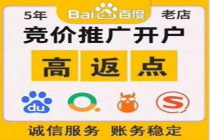 行业领先企业的SEM代理案例剖析